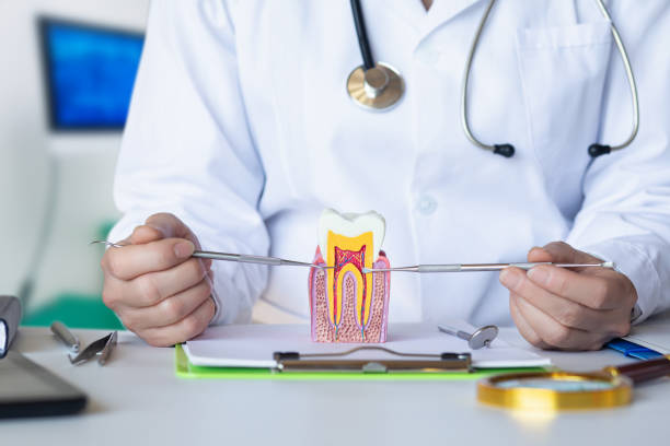Best Broken or Cracked Tooth Emergency Dentist in Fox Chase, PA